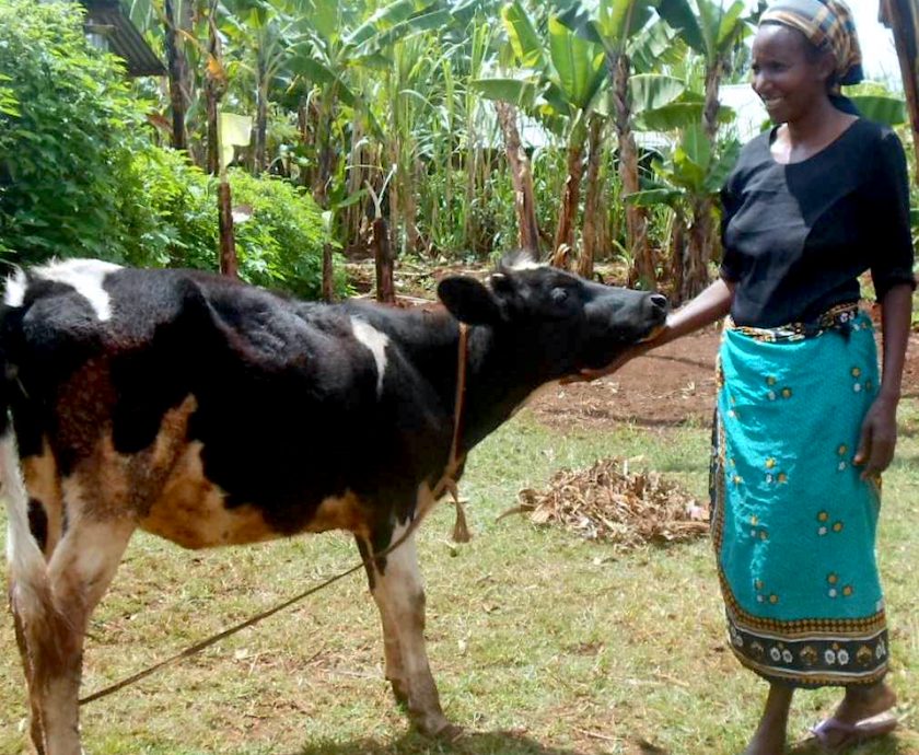 Mary Nduta with a cow copy